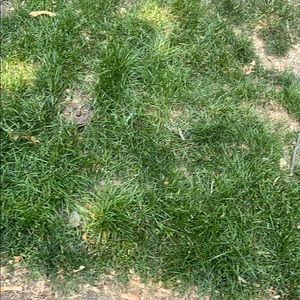 Meet your Posher, Asia